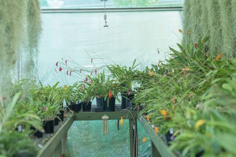 Photo of property in 50b Paul Road, Whenuakite, Whitianga, 3591