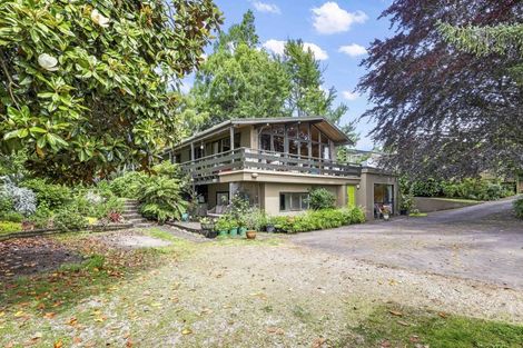 Photo of property in 28 Thomson Avenue, Dinsdale, Hamilton, 3204