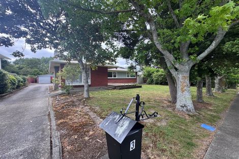 Photo of property in 3 Kennedy Avenue, Feilding, 4702