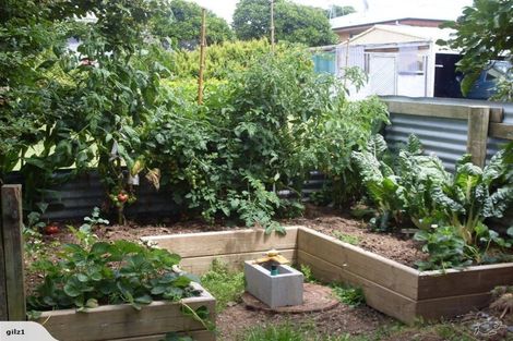 Photo of property in 9 Christensen Street, Waihi, 3610