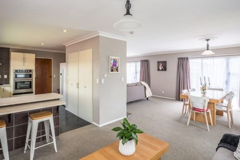 Photo of property in 88 Kennedy Drive, Levin, 5510