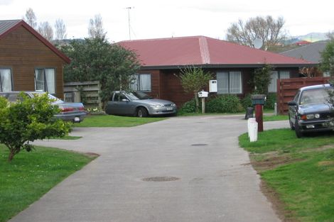 Photo of property in 8a College Place, Poike, Tauranga, 3112