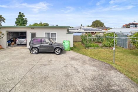 Photo of property in 141 Tirau Street, Putaruru, 3411