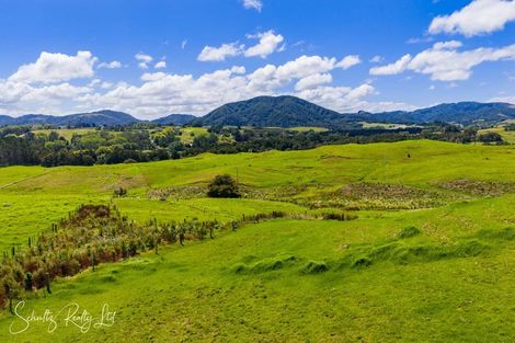 Photo of property in 117 Kaiwaka-mangawhai Road, Kaiwaka, Wellsford, 0975