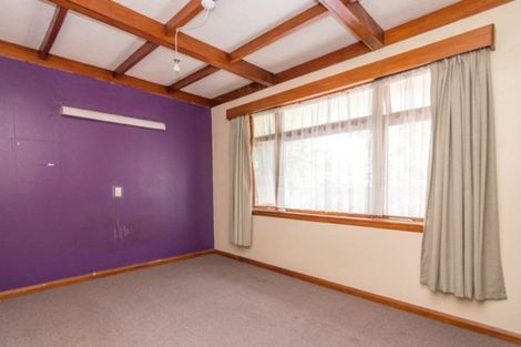 Photo of property in 94 Botanical Road, Takaro, Palmerston North, 4412