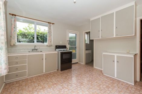 Photo of property in 29 Belfield Street, Dallington, Christchurch, 8061