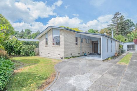 Photo of property in 27 Winter Street, Mangapapa, Gisborne, 4010