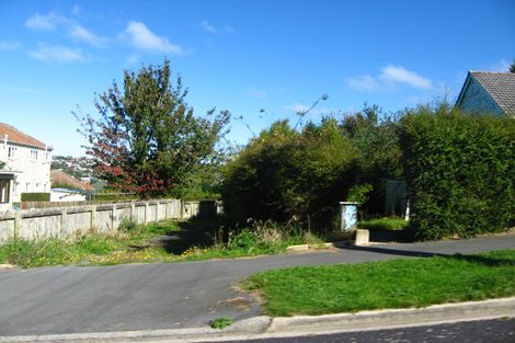 Photo of property in 203 Burt Street, Wakari, Dunedin, 9010