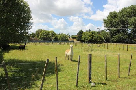 Photo of property in 36 Burgoyne Street, Woodville, 4920