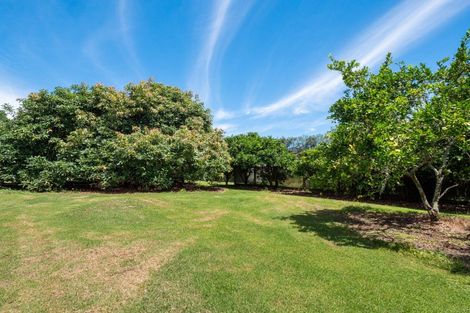 Photo of property in 311 Pahoia Road, Whakamarama, Tauranga, 3172