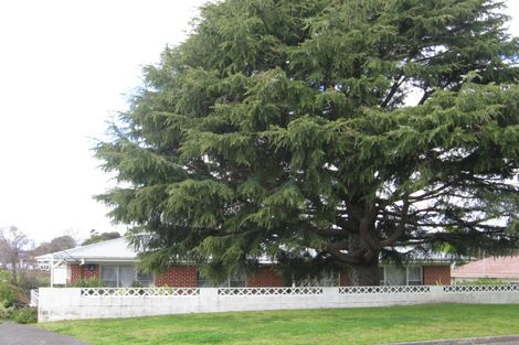 Photo of property in 124 Hynds Road, Gate Pa, Tauranga, 3112