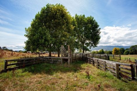 Photo of property in 3786 State Highway 29, Te Poi, Matamata, 3473