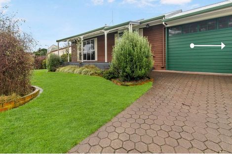 Photo of property in 94 Treadwell Street, Springvale, Whanganui, 4501