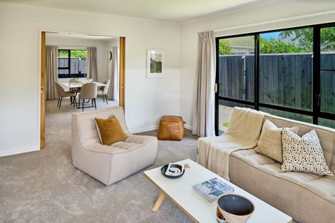 Photo of property in 33 Collingwood Street, Waterloo, Lower Hutt, 5011