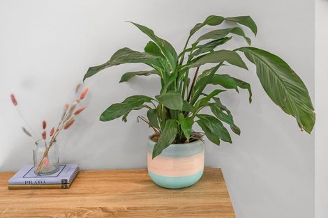 Photo of property in 56 Missy Crescent, Mount Pisa, Cromwell, 9383