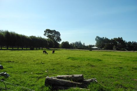 Photo of property in 85 Willowbridge Settlement Road, Waimate, 7980