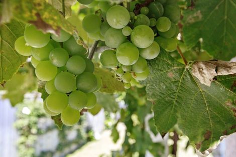 Photo of property in 13a Wilford Street, Wallaceville, Upper Hutt, 5018