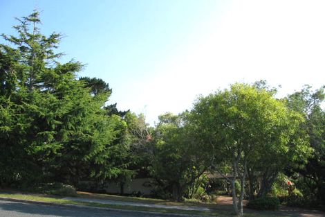 Photo of property in 99 John Downs Drive, Browns Bay, Auckland, 0630