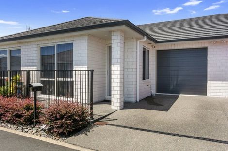 Photo of property in 17 Patricia Place, Katikati, 3129