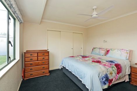 Photo of property in 437 Hemi Street, Raureka, Hastings, 4120