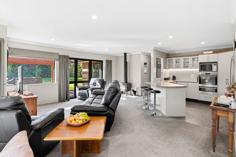Photo of property in 14 Pukematawai Lane, Levin, 5571