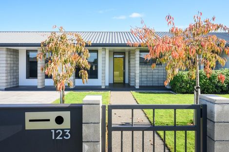 Photo of property in 123 Pharazyn Street, Feilding, 4702