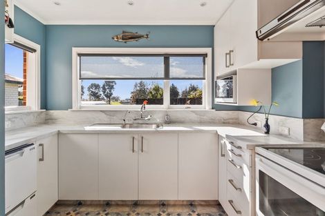 Photo of property in 245a Otipua Road, Highfield, Timaru, 7910