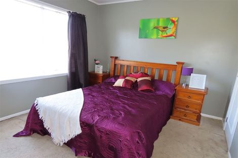 Photo of property in 95 Tiro Tiro Road, Levin, 5510
