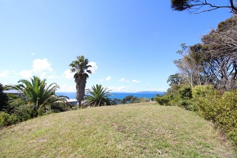 Photo of property in 19 Cuvier Crescent, Kuaotunu West, Whitianga, 3592