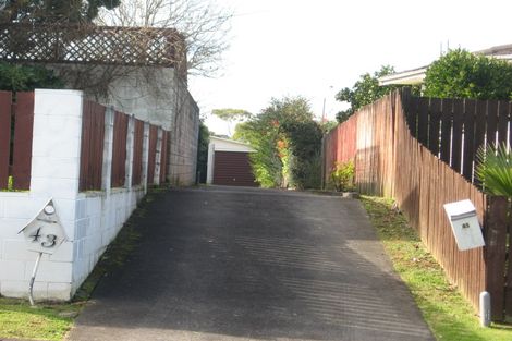 Photo of property in 45 Mcdivitt Street, Manurewa, Auckland, 2102