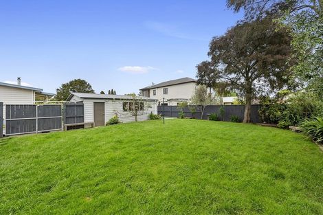 Photo of property in 4 Bond Street, Hamilton East, Hamilton, 3216