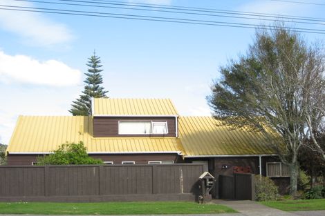 Photo of property in 306 Tukapa Street, Hurdon, New Plymouth, 4310