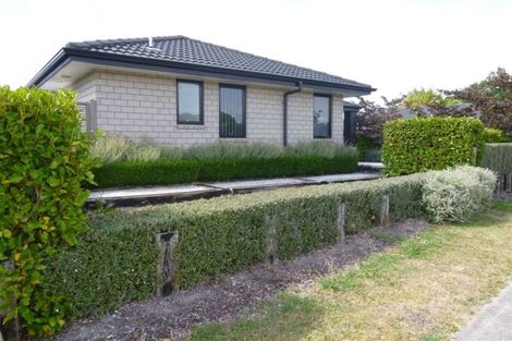 Photo of property in 16 Edgeview Crescent, Fitzroy, Hamilton, 3206