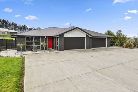 Photo of property in 69 Mcintosh Drive, Pokeno, 2471