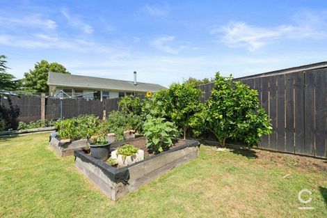Photo of property in 120 Links Avenue, Mount Maunganui, 3116