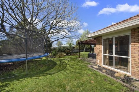 Photo of property in 17 Halcione Close, Flagstaff, Hamilton, 3210