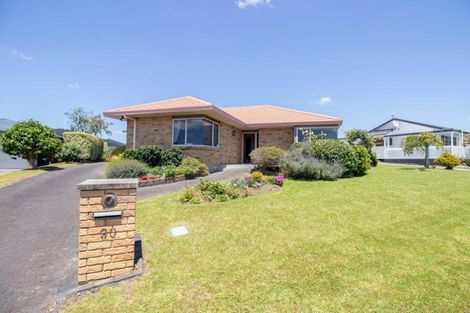 Photo of property in 30 Ohinemuri Place, Paeroa, 3600
