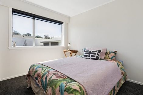 Photo of property in 22 Brook Street, Renwick, 7204
