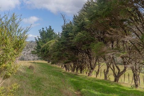 Photo of property in 425n Boat Harbour Road, Whenuakite, Whitianga, 3591