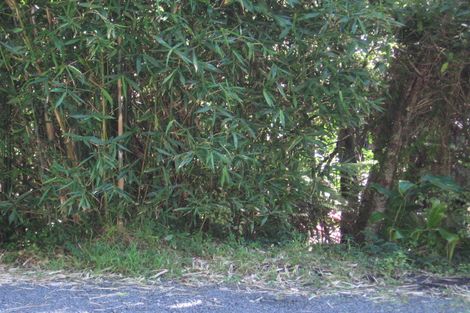 Photo of property in 275 Konini Road, Titirangi, Auckland, 0604