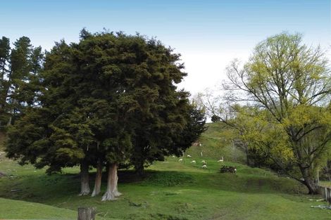 Photo of property in 453 Kururau Road, Taumarunui, 3991