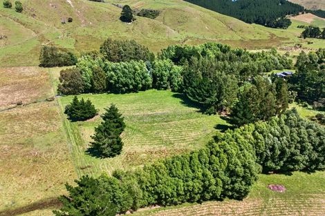 Photo of property in 869 Norfolk Road, Upper Plain, Carterton, 5791