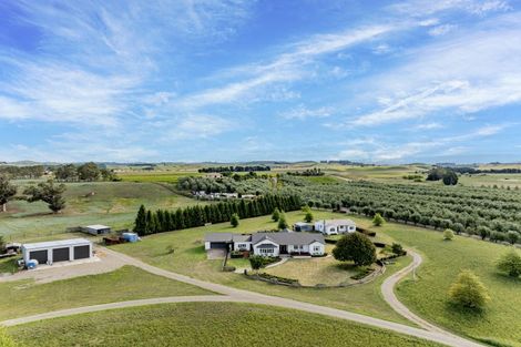 Photo of property in 541 Kereru Road, Maraekakaho, Hastings, 4171
