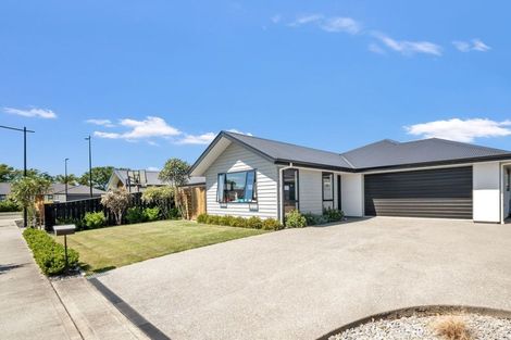 Photo of property in 3 Ascot Street, Richmond, 7020
