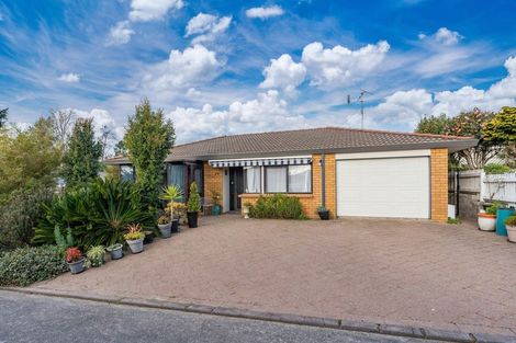 Photo of property in 4a Camellia Place, Greerton, Tauranga, 3112