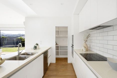 Photo of property in 29 Awa Toru Drive, Fairfield, Dunedin, 9018