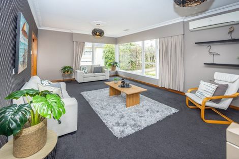 Photo of property in 58 Forest Lake Road, Forest Lake, Hamilton, 3200