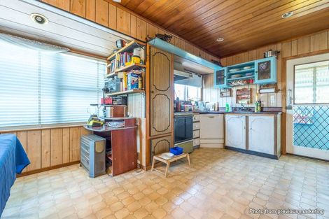 Photo of property in 50 Harrington Road, Henderson, Auckland, 0610