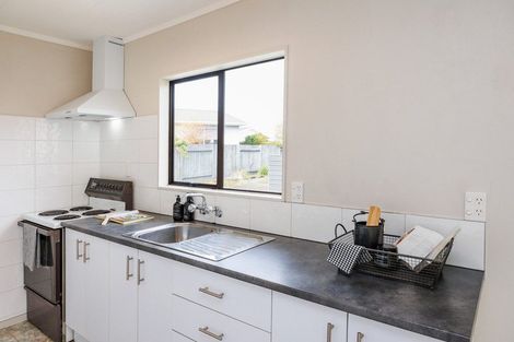 Photo of property in 20a Tingey Avenue, Feilding, 4702