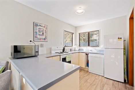 Photo of property in 9 Balmoral Street, Waiau, 7332